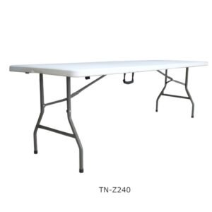 TN-Z240
