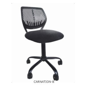 CARNATION-B