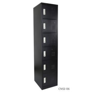 CNSI-06