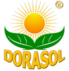DISTRIBUIDORA PARAGONES